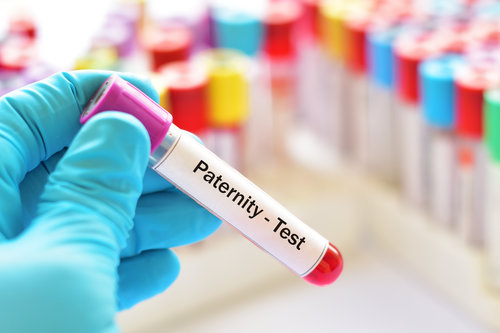Test tube with blood sample for paternity test