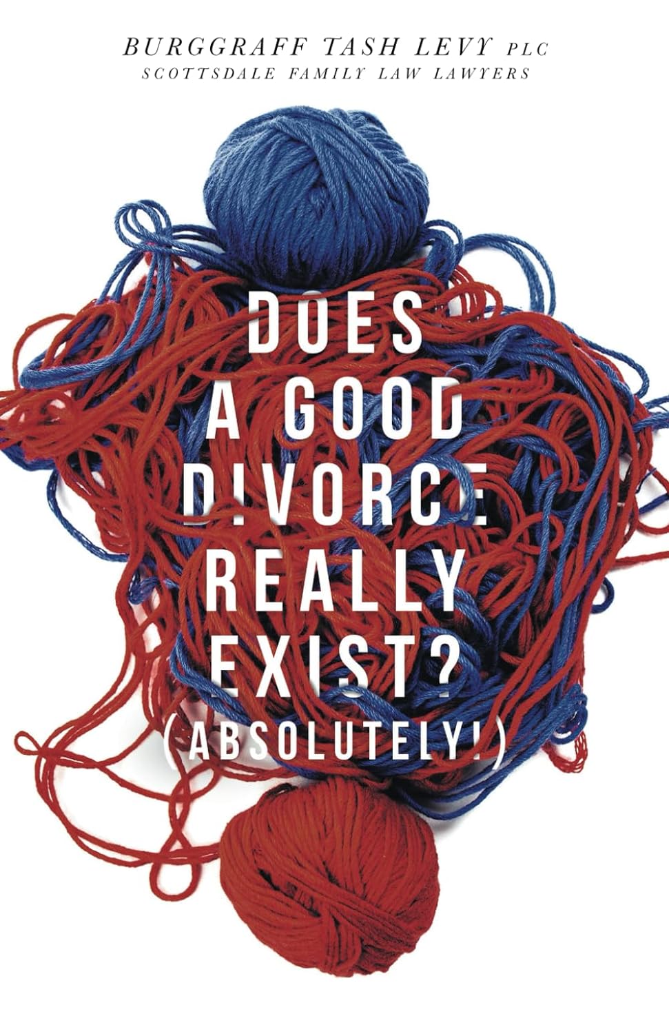 Does a Good Divorce Really Exist Absolutely book title